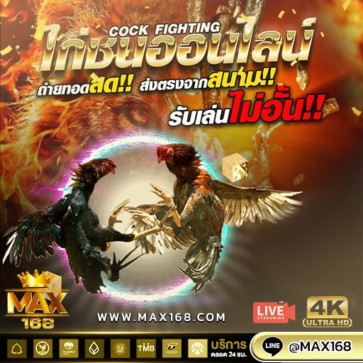 ไก่ชน